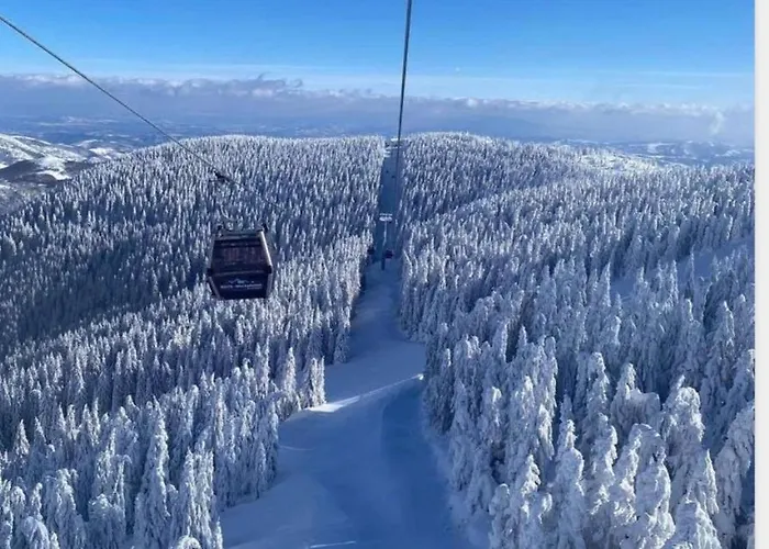 Bele Staze 84, Tavance, * Brzeće